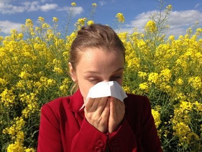 How We Get Through the Sneezy, Runny Nose, Watery Eyes, Springtime Season