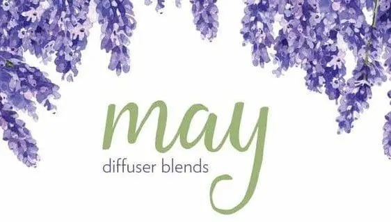 May Diffuser Blends