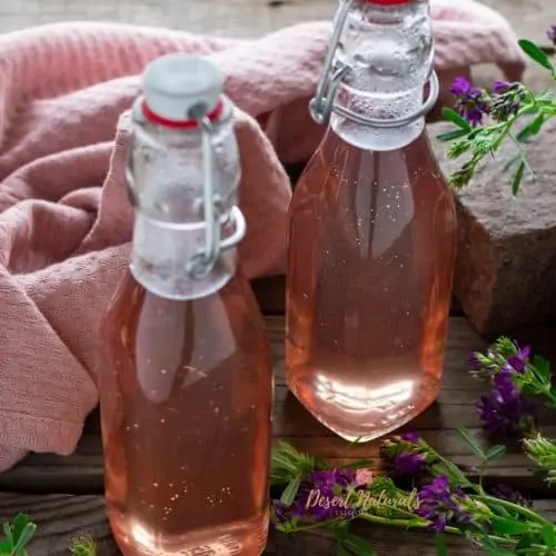 bottles of homemade lavender simple syrup made with essential oil