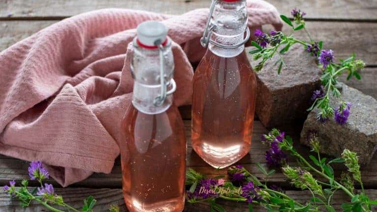 Lavender Simple Syrup Recipe