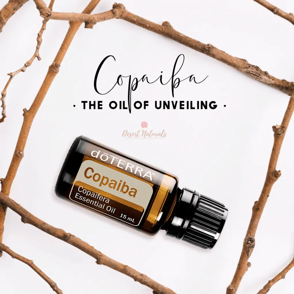 Text Copaiba the Oil of Unveiling with some twigs surrounding it and a bottle of doTERRA Copaiba essential oil