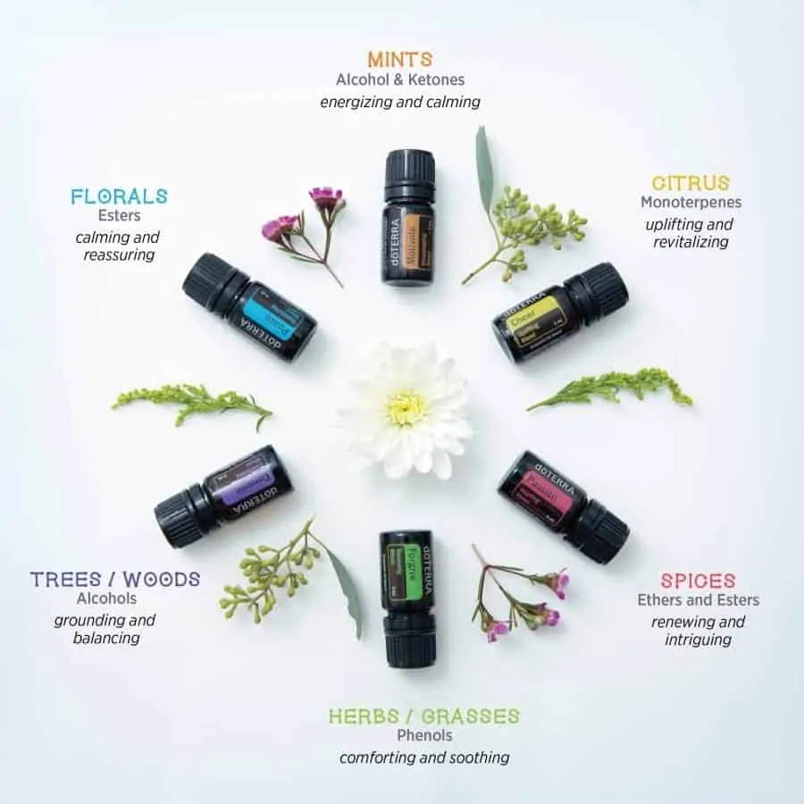 Manage emotional health with the doTERRA aromatherapy kit. The emotions kit containing cheer, motivate, passion, peace, forgive, and console essential oil blends
