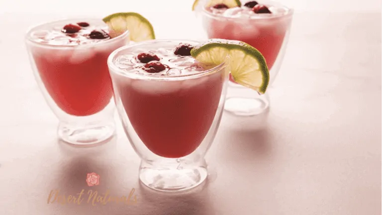 Cranberry Lime Spritzer Festive Drink