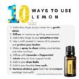 Lemon Essential Oil from doTERRA has many uses. Here are 10 ways to use and benefit from Lemon