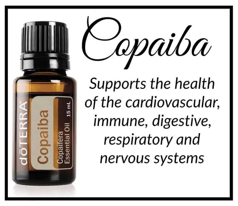 Copaiba Essential Oil is a powerful way to support the body's immune, digestive, respiratory, and nervous system. It has been compared to CBD oil in how it works on the body. it will NOT result in a positive drug test.