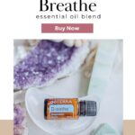 photo of doTERRA Breathe essential oil blend with Buy Now button
