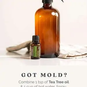 Mold spray with doTERRA Tea Tree essential oil