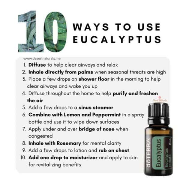 a list of 10 ways to use doTERRA eucalyptus essential oil