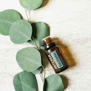 image of eucalyptus leaves with bottle of doterra eucalyptus essential oil
