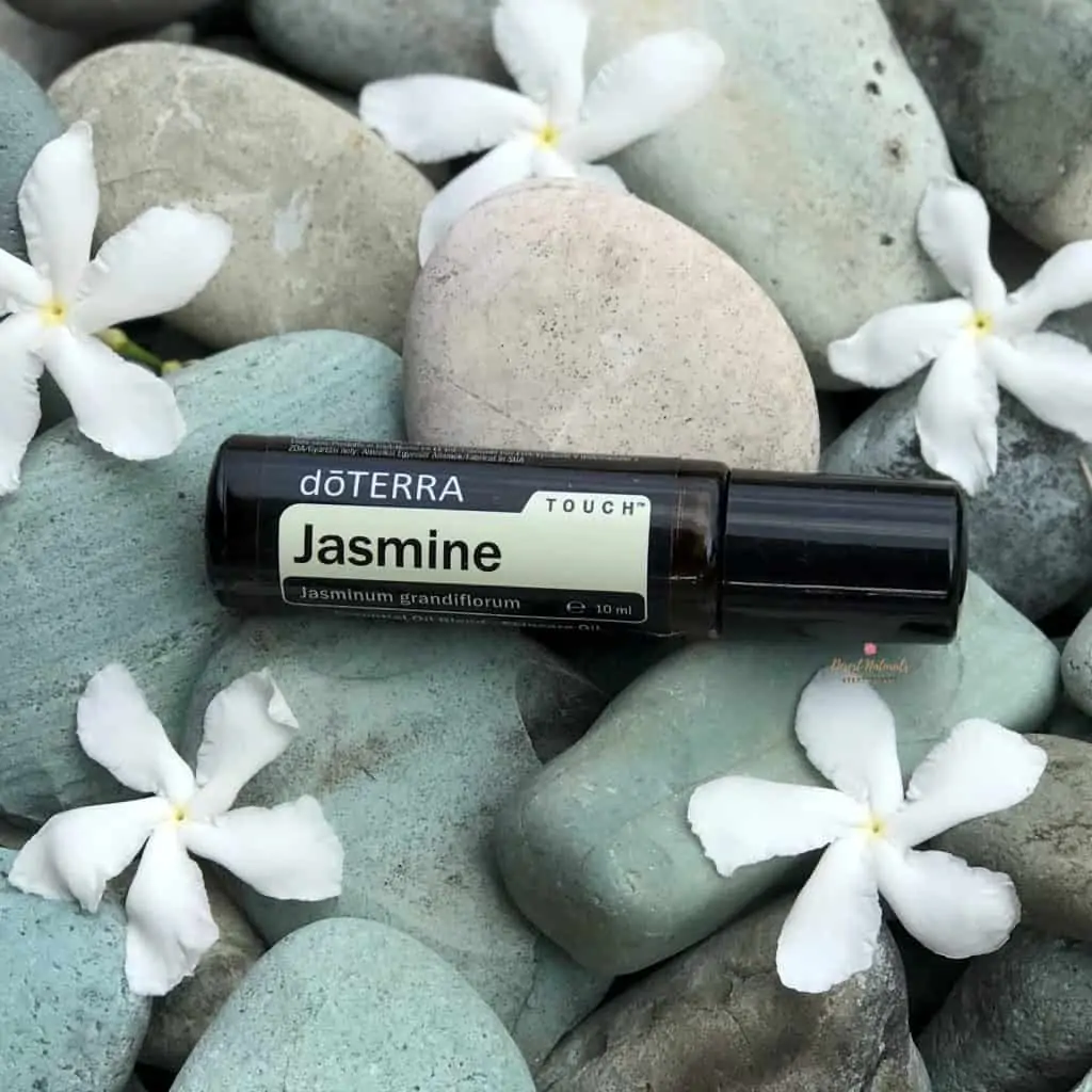 grey river rocks with sprigs of jasmine and a bottle of doterra jasmine essential oil roller