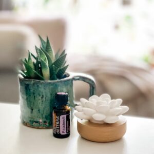 image of bottle of doterra patchouli with plant and diffuser