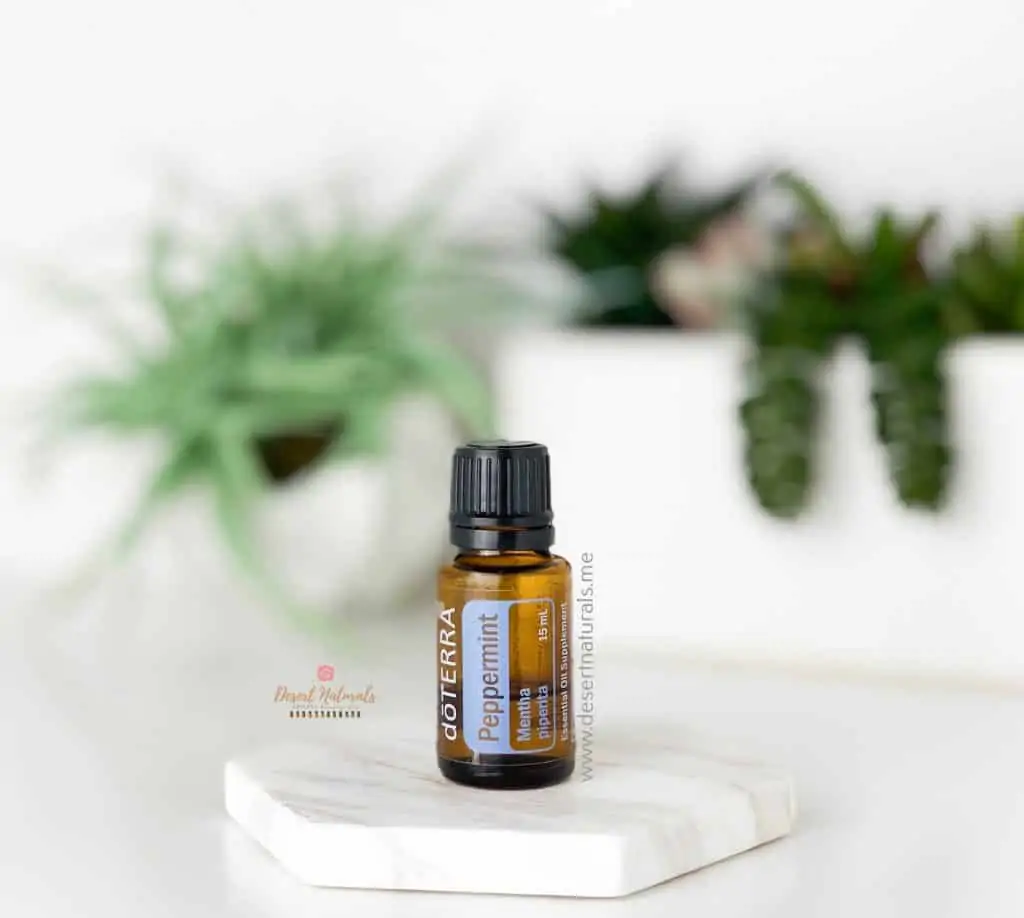 doterra peppermint 15ml essential oil with succulents