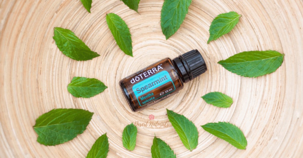 circle of spearmint leaves with bottle of doterra spearmint essential oil
