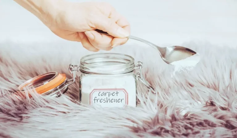 diy baking soda carpet freshener