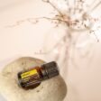bottle of doterra cheer essential oil on a decorative rock