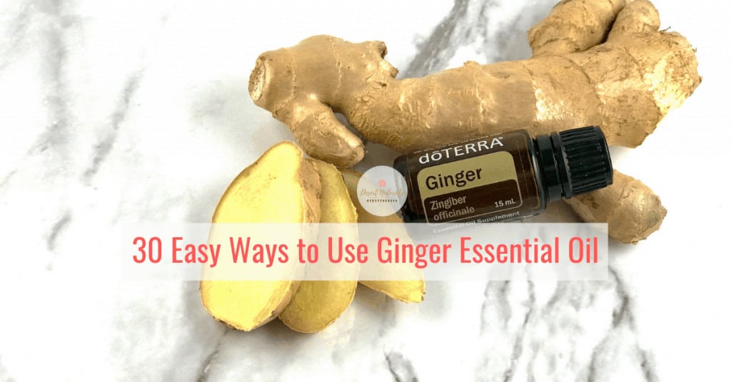 learn ginger essential oil health benefits and 30 ways to use it