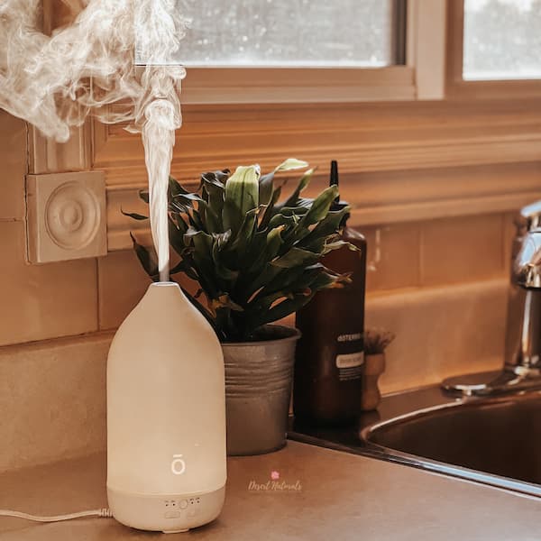 image of doterra laluz diffuser in action with mist on kitchen counter