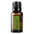 Rosemary essential oil from doTERRA can benefit hair, respiratory system, and digestive system