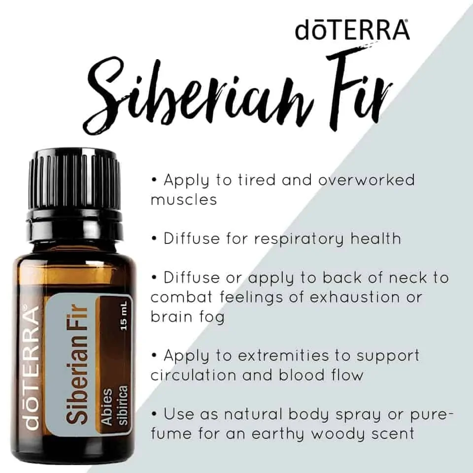 How to use siberian fir essential oil from doterra