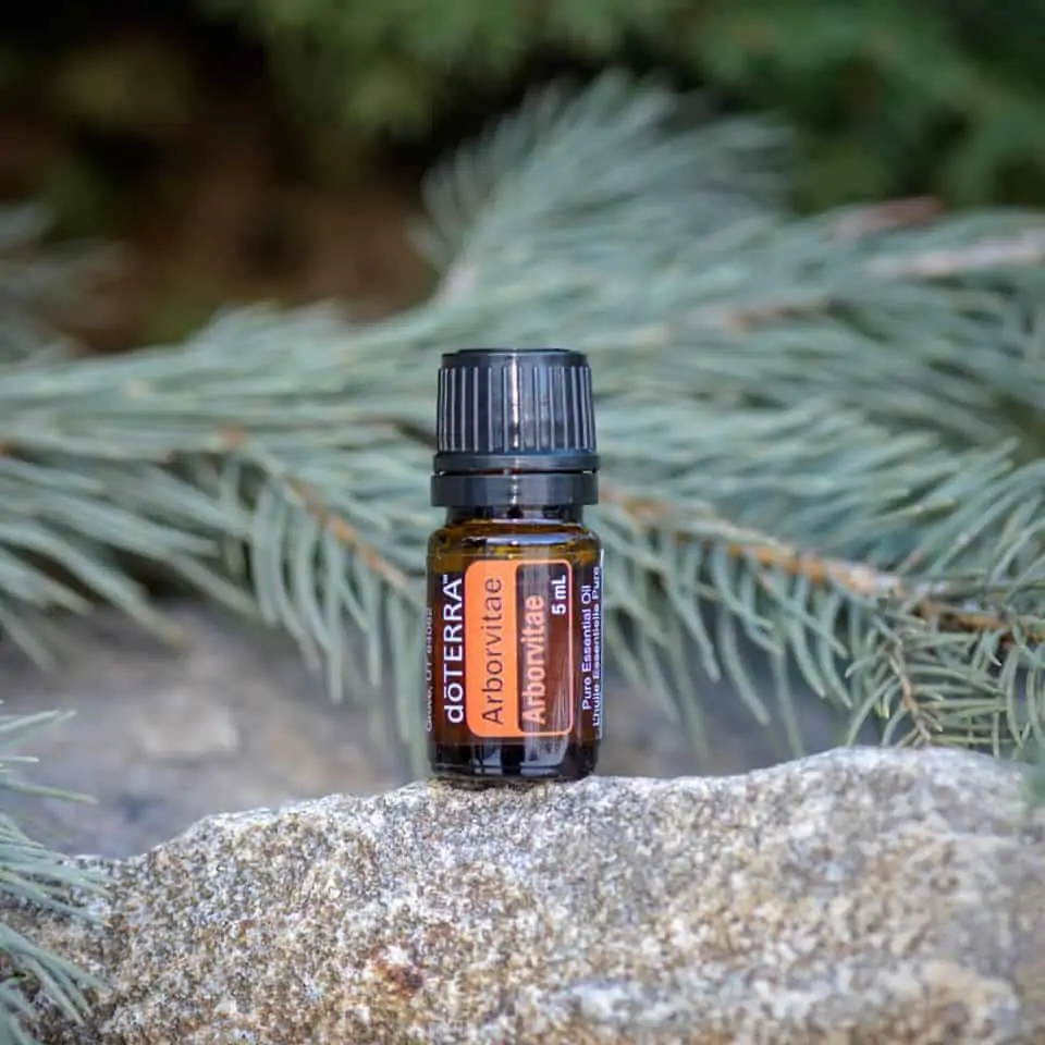 5ml bottle of doTERRA Arborvitae essential oil on a rock