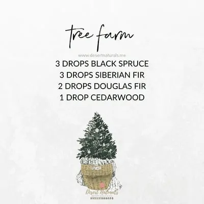 Essential Oil diffuser blend for Winter with doTERRA