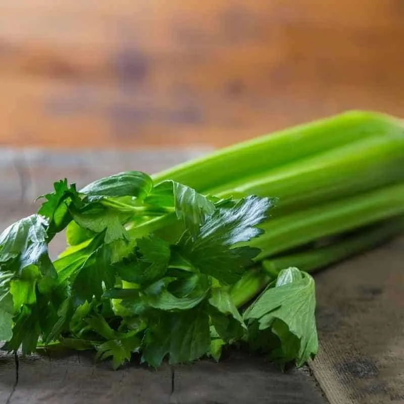 celery