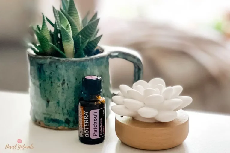 photo of succulent and bottle of doterra patchouli essential oil