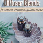 12 of the best winter essential oils plus diffuser blends pin