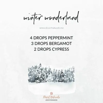 doterra essential oil diffuser blend for winter