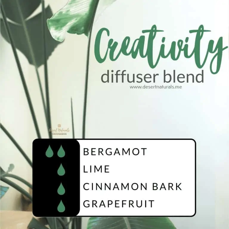 Creativity Diffuser Blend