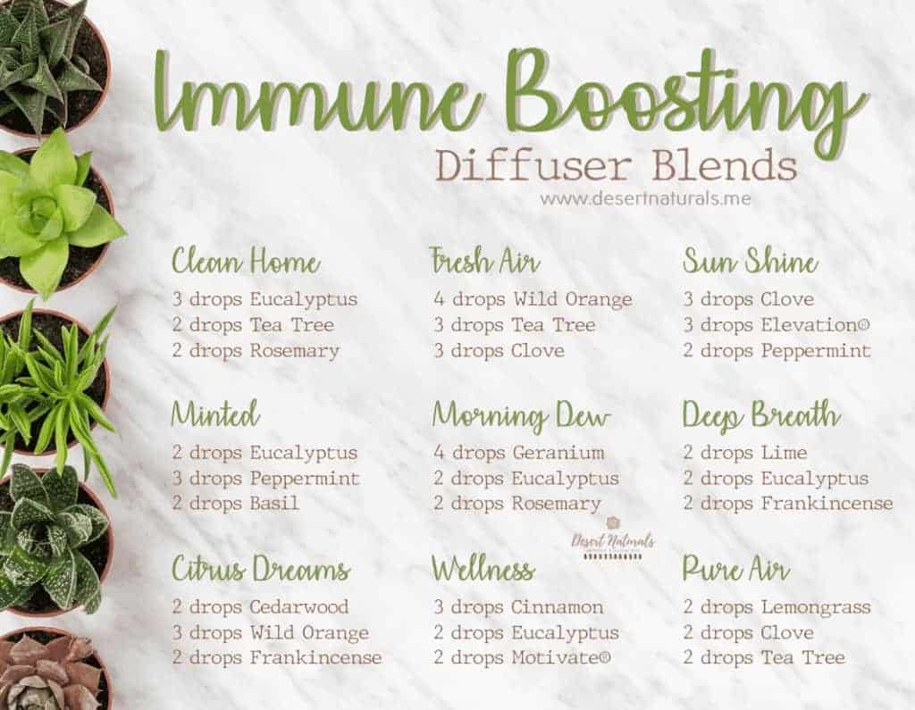 Use these Immune Boosting Essential Oil blends to help your body stay healthy