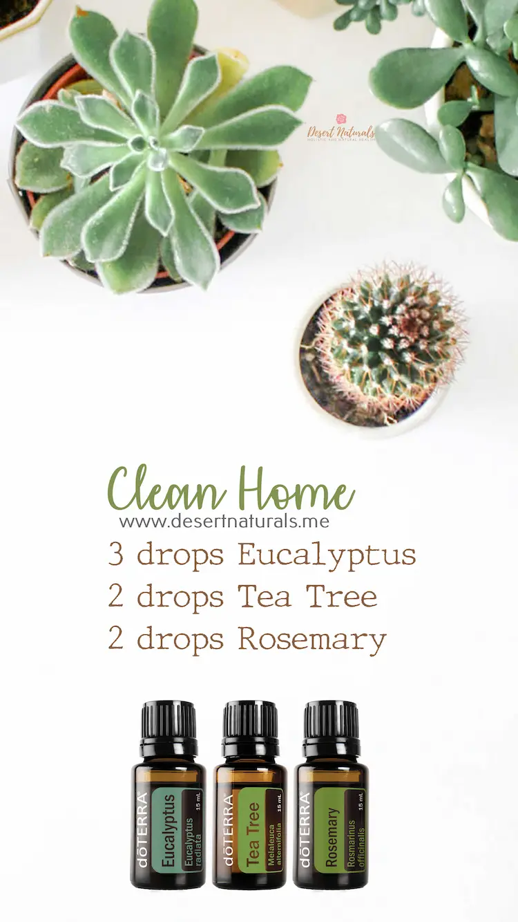 clean home diffuser blend for immune system with succulents