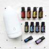 doterra oil bottles and laluz diffuser in the home essentials kit