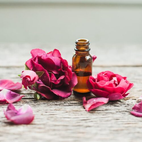 rose petals with a bottle of essential oil on wood