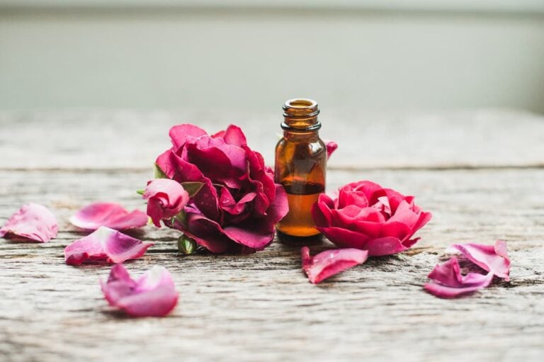rose petals with a bottle of essential oil on wood