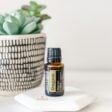 image of bottle of doterra oregano essential oil with succulent in the background