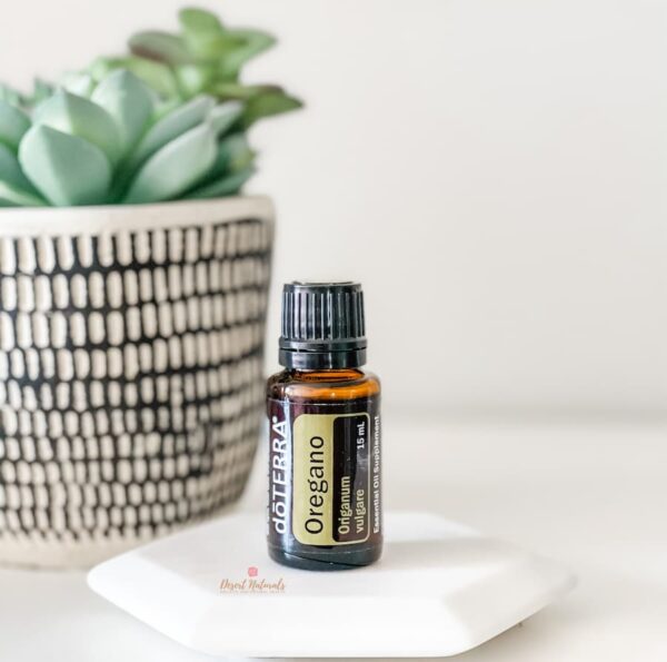 image of bottle of doterra oregano essential oil with succulent in the background