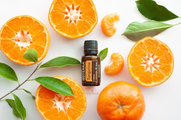 doterra tangerine essential oil surrounded by tangerine fruit