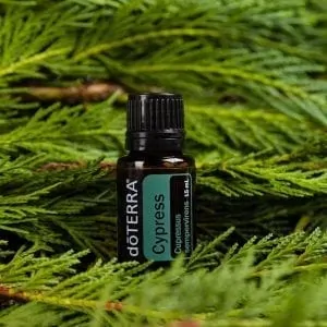 doTERRA Cypress essential oil can support a healthy circulation, and help with oily skin