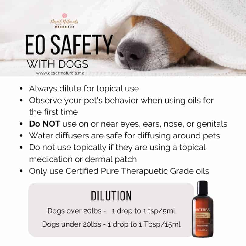 How to be safe when using doTERRA essential oils for your dog