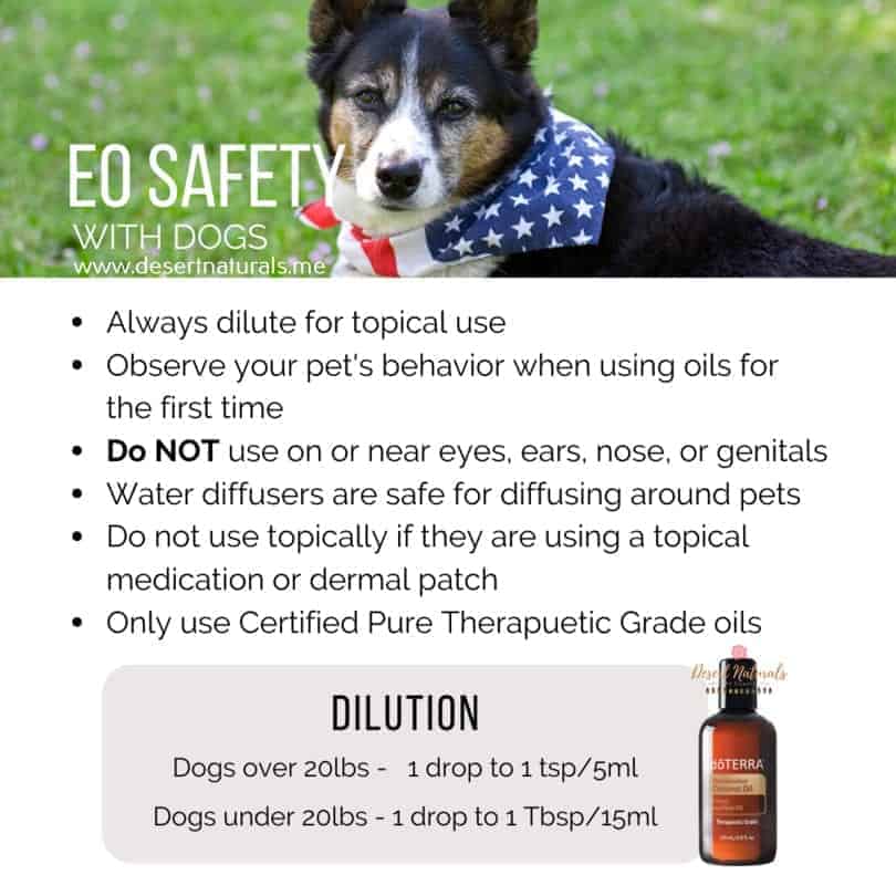 how to use essential oils safely for dogs on fourth of july