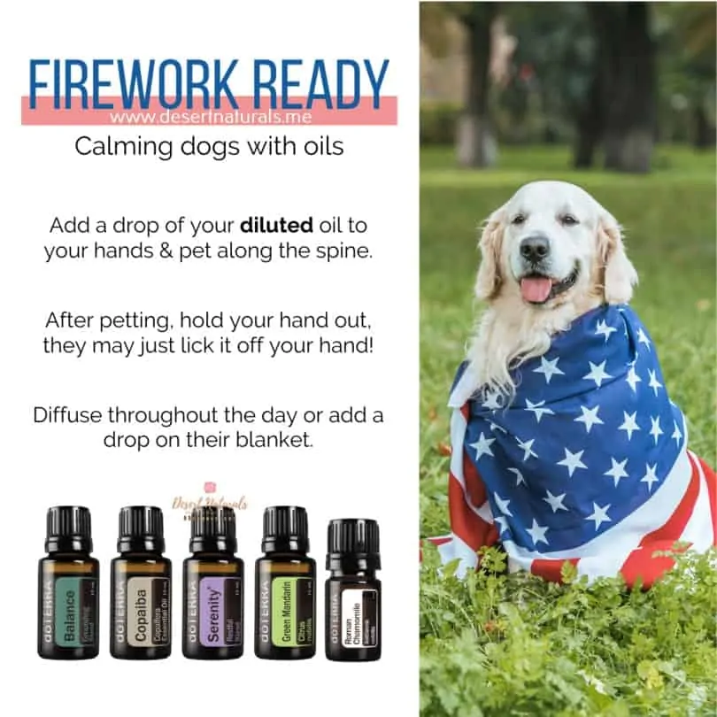 How to be safe when using essential oils for dogs to calm them on the 4th of July