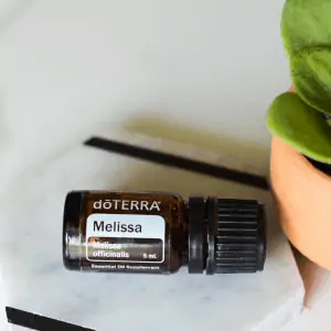 bottle of doTERRA Melissa essential oil with small succulent in a pot