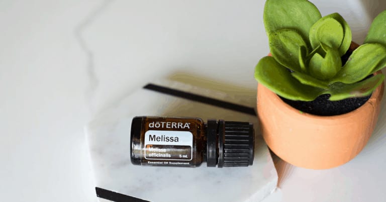 bottle of doTERRA Melissa essential oil with small succulent in a pot