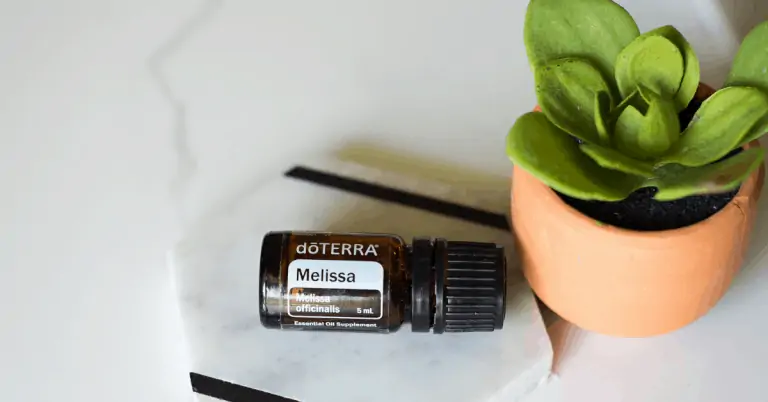 bottle of doTERRA Melissa essential oil with small succulent in a pot