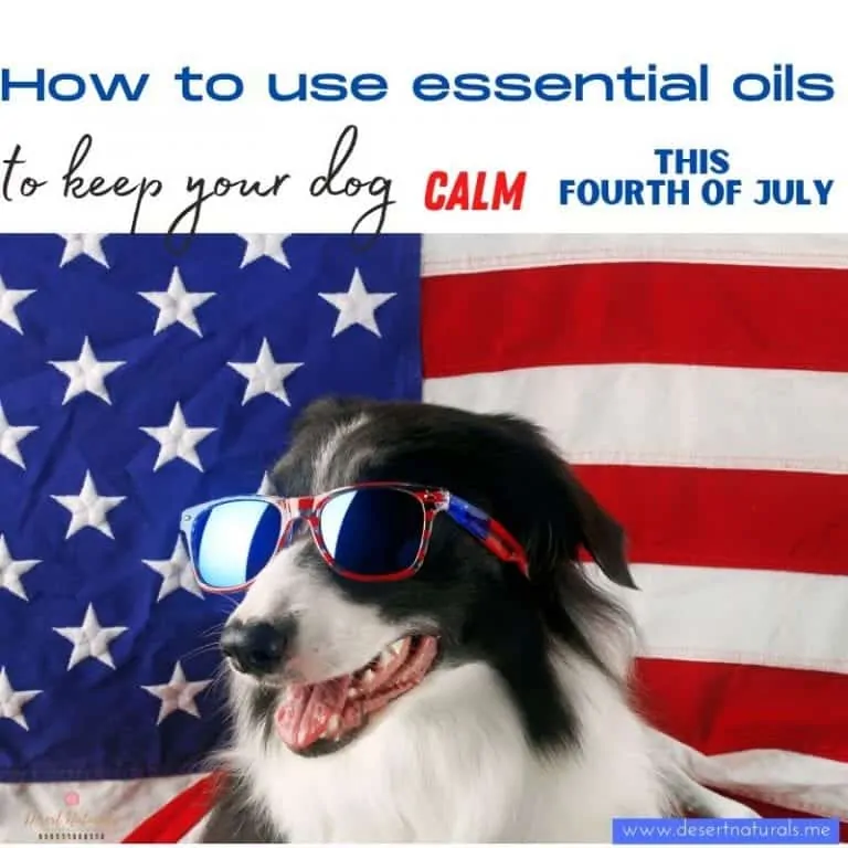 4th of July Essential Oils for Dogs