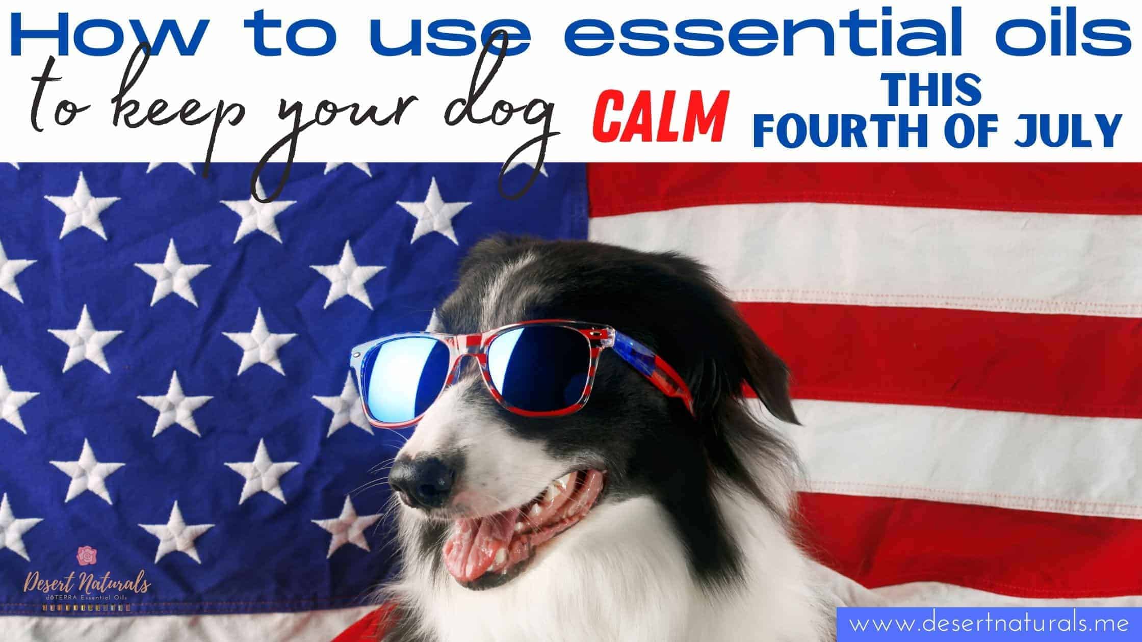 learn how to use essential oils in a safe way to help your dog be calm on independence day