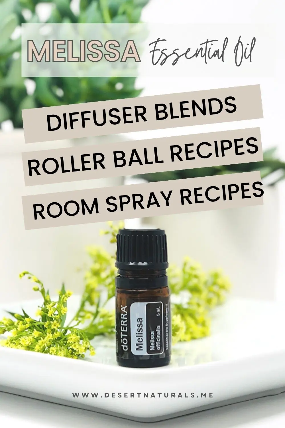 melissa essential oil diffuser blends roller ball recipes room spray recipes pinterest pin