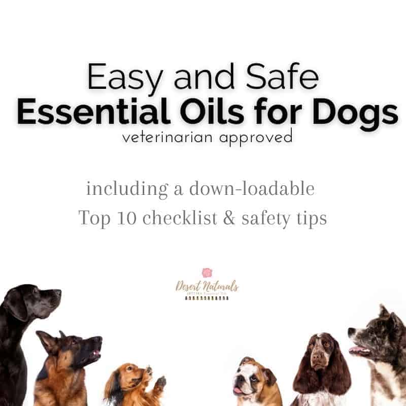 Find out how to use essential oils safely with your dog and the top 10 essential oils for dogs