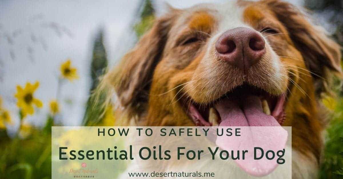 doterra on guard safe for dogs